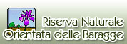 vai a Riserva Naturale delle Baragge